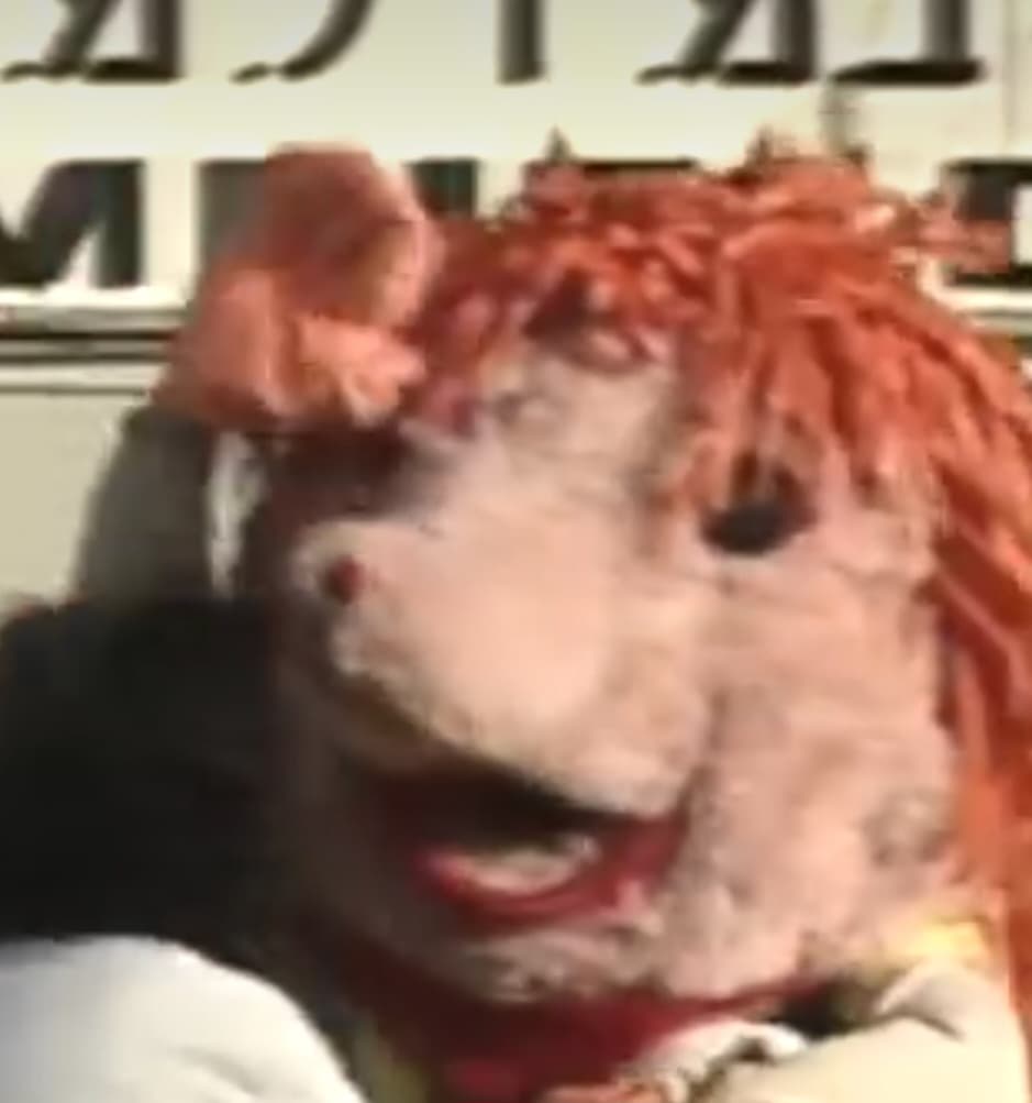 למגרש הגיע קיפי